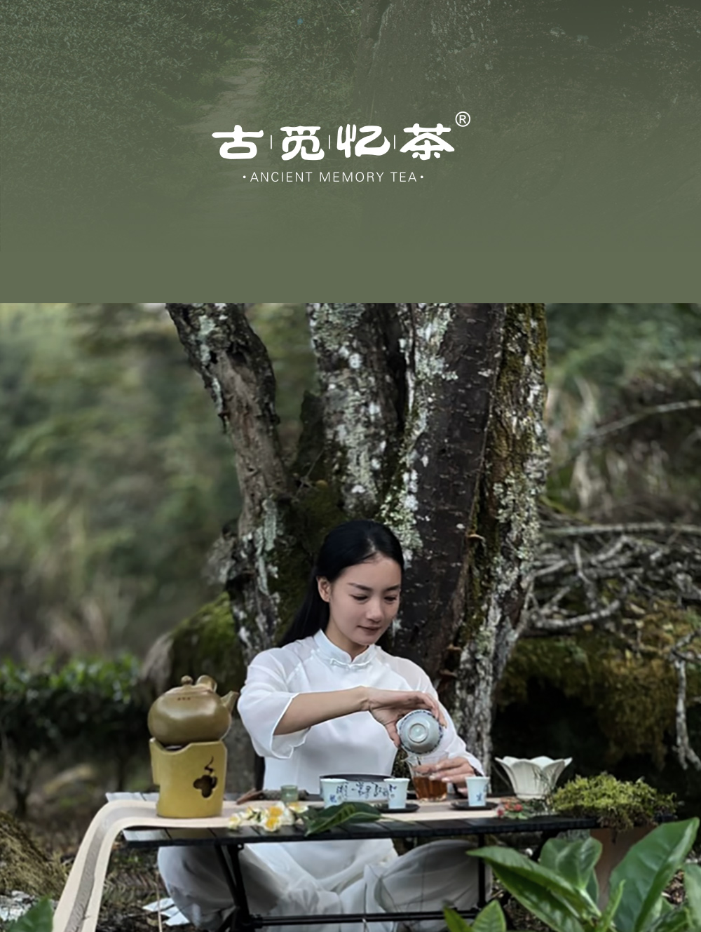 茶详情1_02.jpg